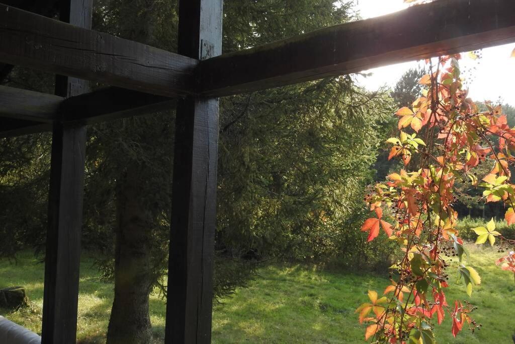 Modrzewiowy Domek Letniskowy - Stare Czaple Brodnica  Exterior photo