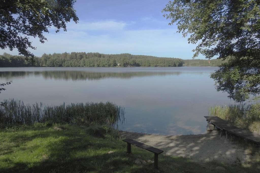 Modrzewiowy Domek Letniskowy - Stare Czaple Brodnica  Exterior photo