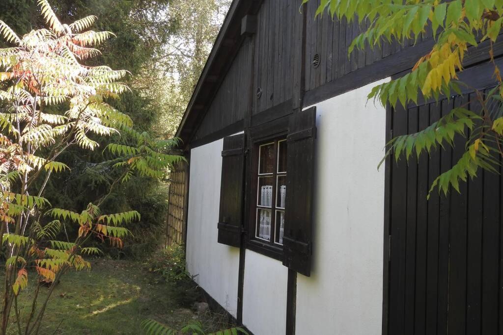 Modrzewiowy Domek Letniskowy - Stare Czaple Brodnica  Exterior photo