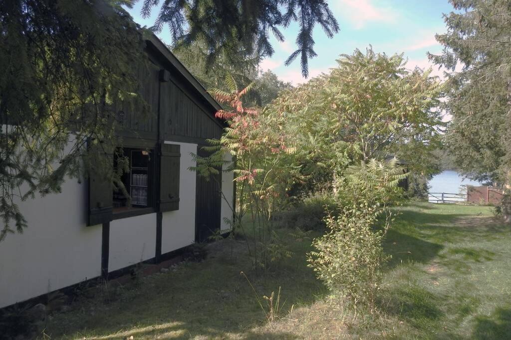 Modrzewiowy Domek Letniskowy - Stare Czaple Brodnica  Exterior photo