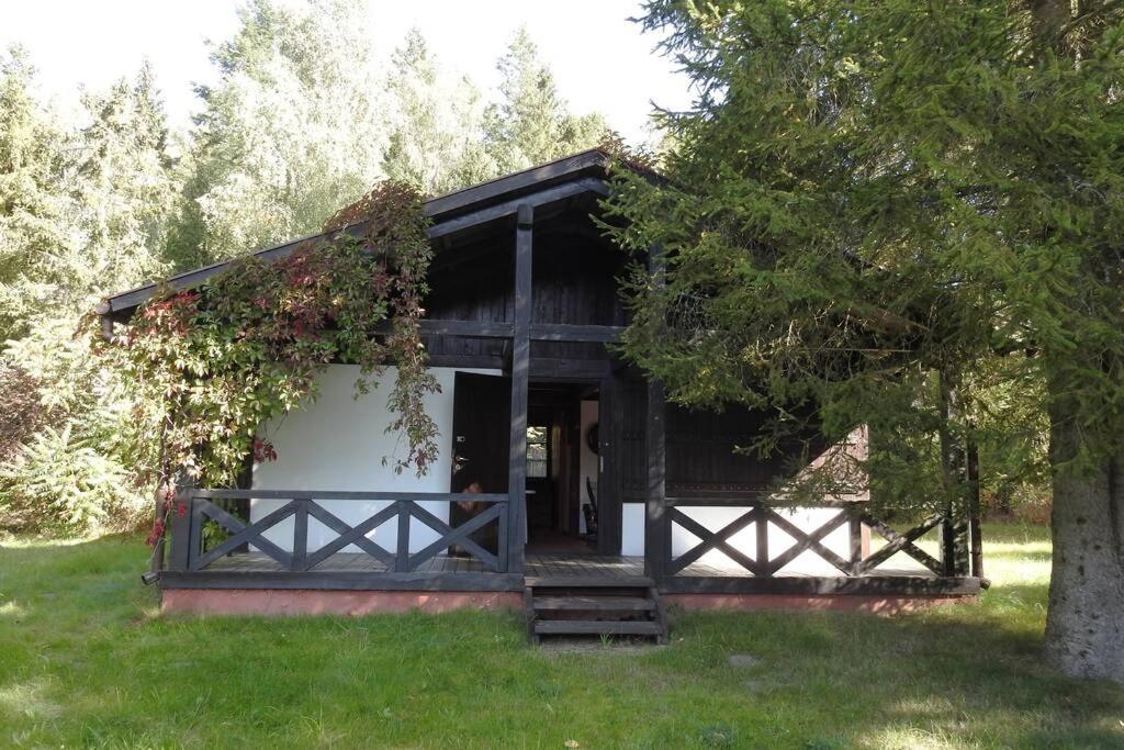 Modrzewiowy Domek Letniskowy - Stare Czaple Brodnica  Exterior photo