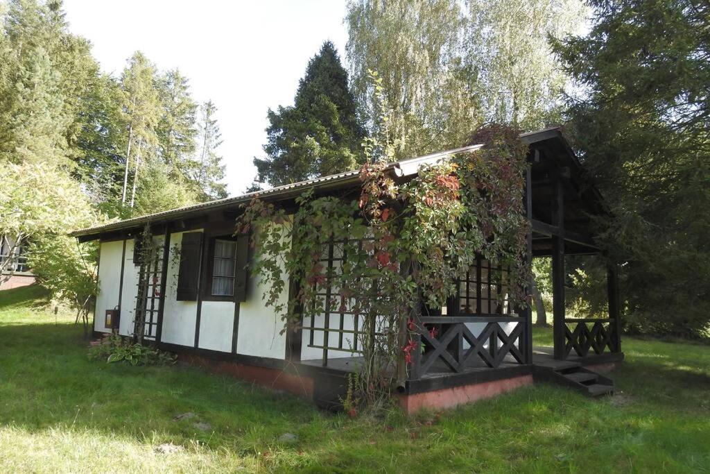 Modrzewiowy Domek Letniskowy - Stare Czaple Brodnica  Exterior photo